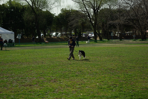 b0033523_2394669.jpg