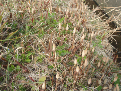b0008825_11112266.jpg