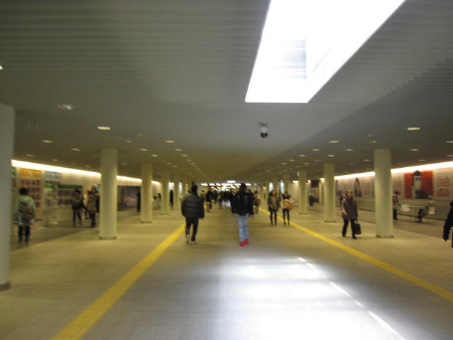 e0191826_2350597.jpg