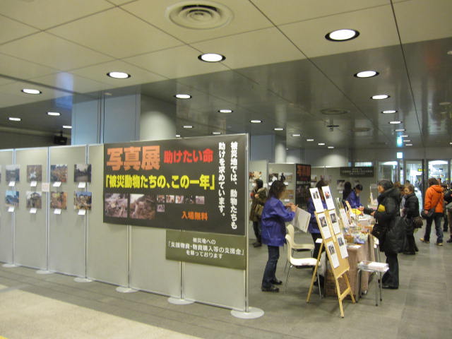 e0191826_23514638.jpg