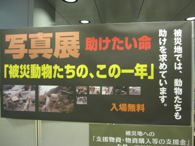 e0191826_23591625.jpg
