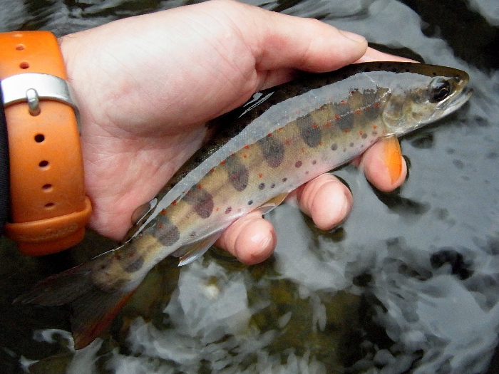 f0103126_2024665.jpg
