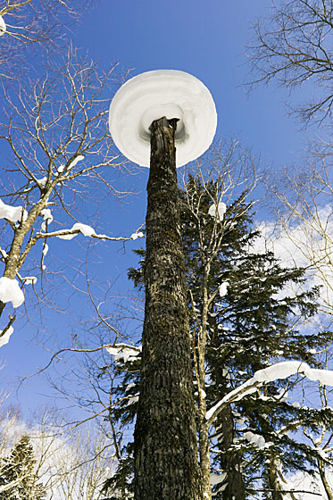 e0025030_9512168.jpg