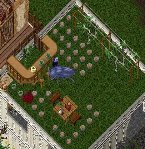 c0184233_12264062.jpg