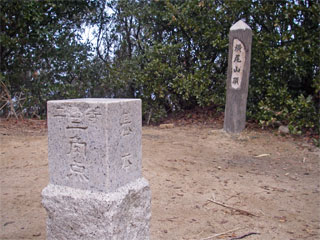 d0163834_13241830.jpg