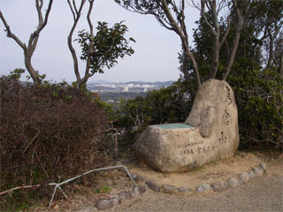 d0163834_13242843.jpg