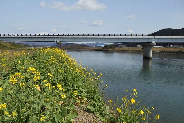 f0042737_15375642.jpg