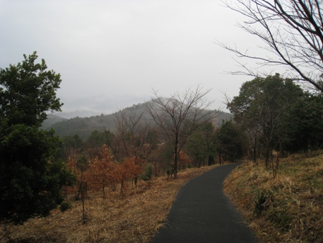 c0077338_1618487.jpg