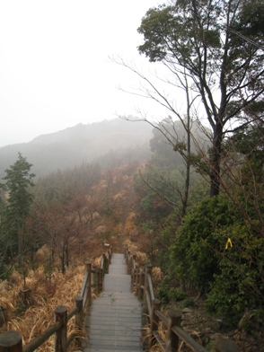 c0077338_16204627.jpg