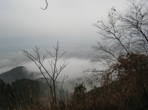 c0077338_16213315.jpg