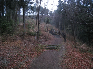c0077338_1683820.jpg