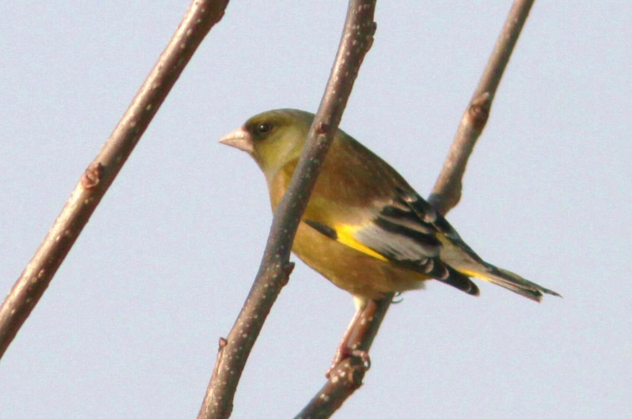 c0172139_21245027.jpg