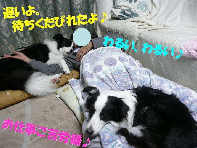 c0147241_1851723.jpg