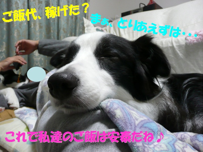 c0147241_1852418.jpg