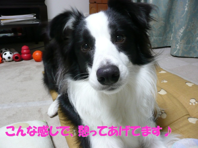 c0147241_185372.jpg