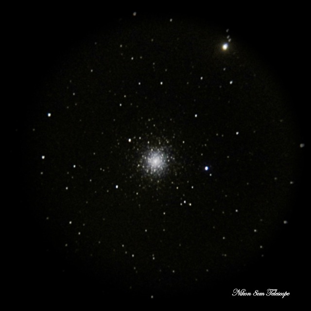 b0167343_15304877.jpg
