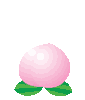 a0029347_9595060.gif