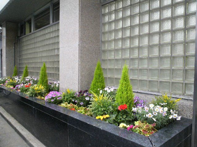 c0004750_1620281.jpg
