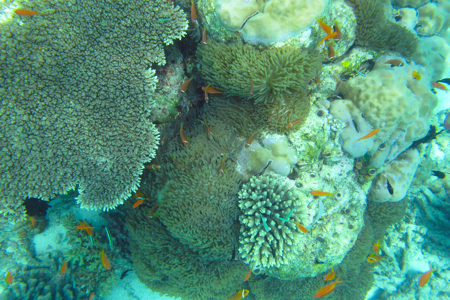 f0190653_20511590.jpg