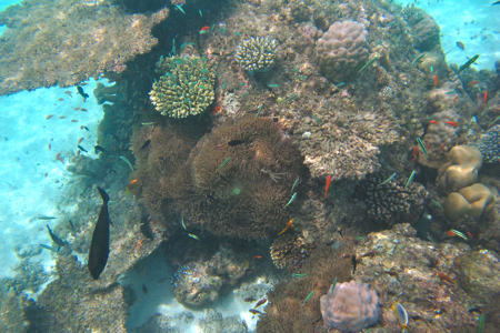 f0190653_20512213.jpg