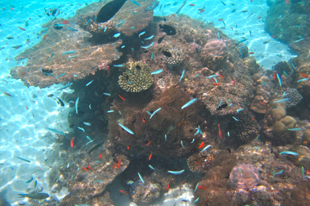 f0190653_20515054.jpg