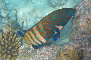 f0190653_20544395.jpg
