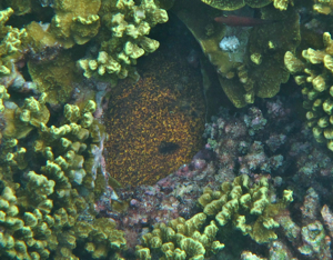 f0190653_2056197.jpg