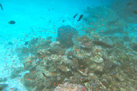 f0190653_20571681.jpg