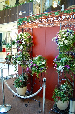 e0025655_5265012.jpg