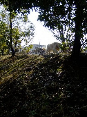 c0097558_2242264.jpg