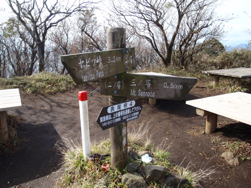 d0083859_1104925.jpg