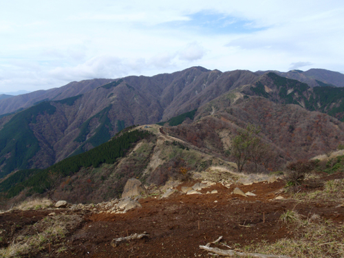 d0083859_114153.jpg