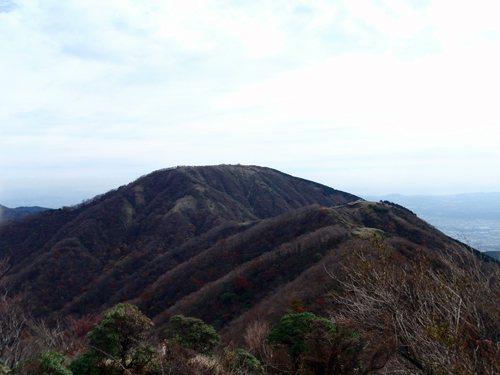 d0083859_1161526.jpg
