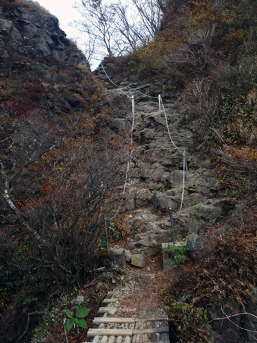 d0083859_12709.jpg