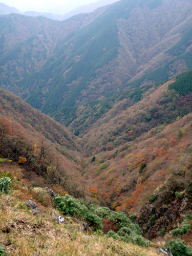 d0083859_1292242.jpg