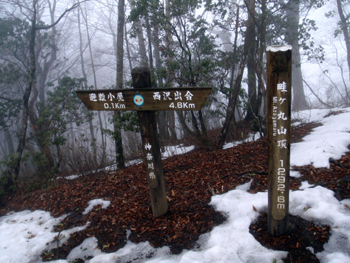 d0083859_14315068.jpg