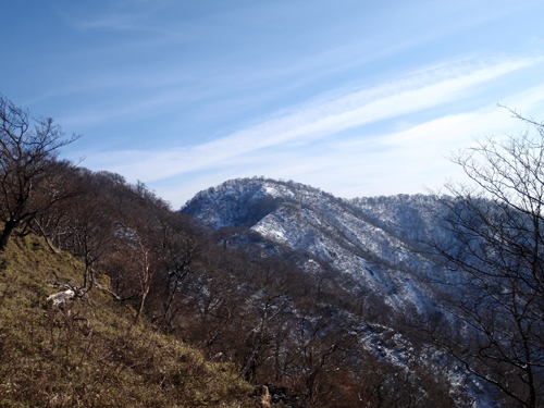 d0083859_1461679.jpg