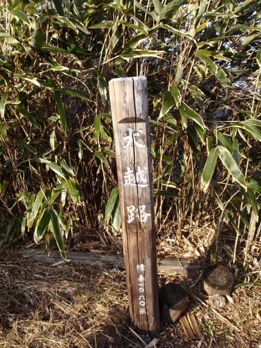 d0083859_1475455.jpg
