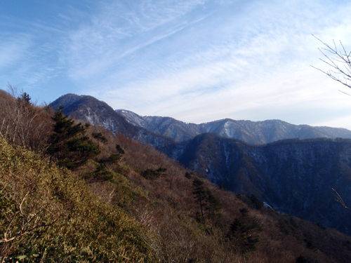 d0083859_1484963.jpg