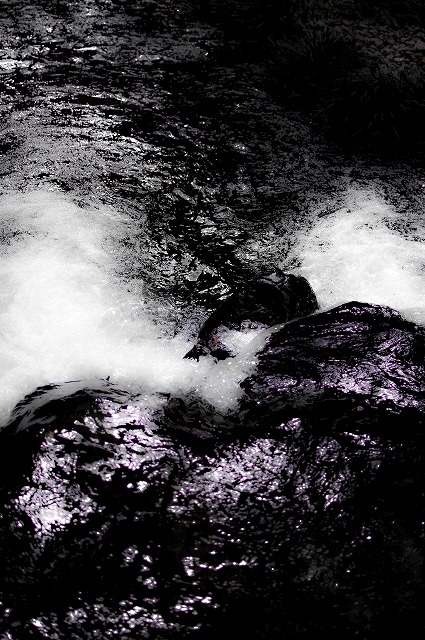 e0209962_2019970.jpg