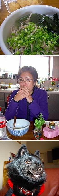 e0002466_17202188.jpg