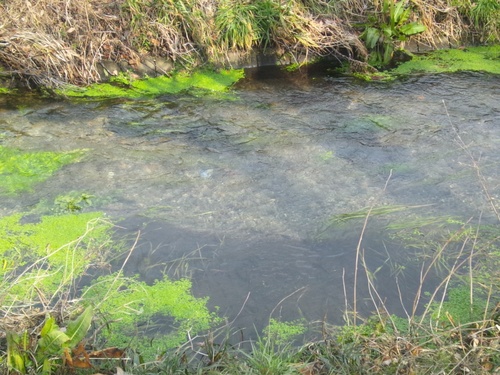 e0151566_213078.jpg
