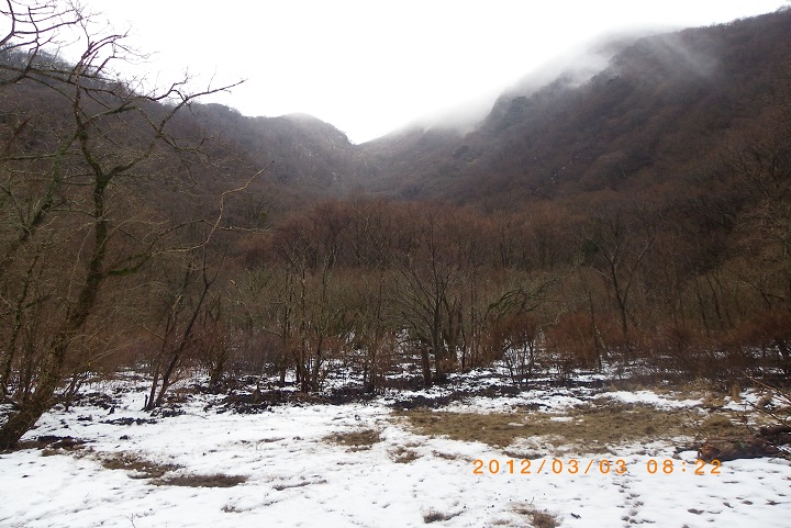 f0016066_03728.jpg