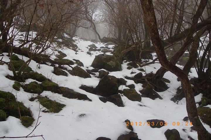 f0016066_039428.jpg