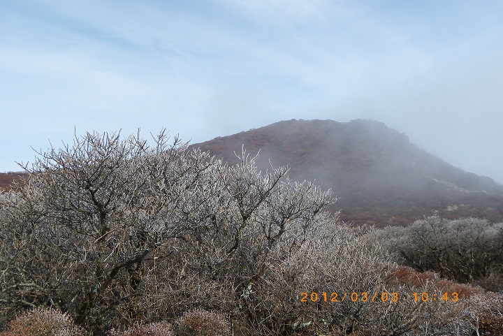 f0016066_059013.jpg