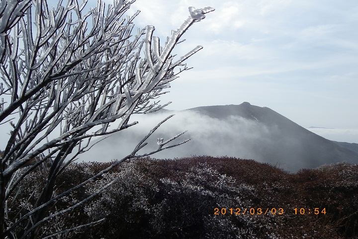 f0016066_134081.jpg