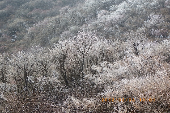 f0016066_1382072.jpg