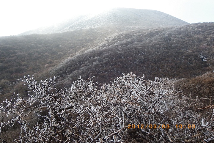 f0016066_138672.jpg