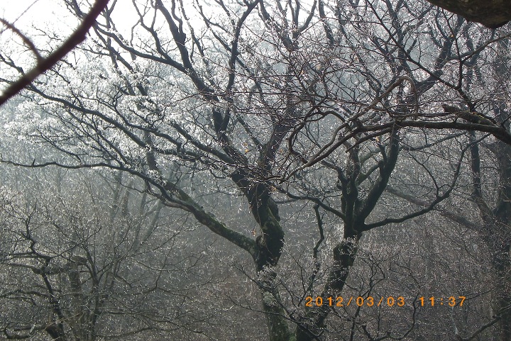 f0016066_1532110.jpg