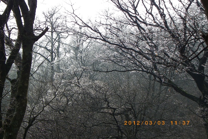 f0016066_153465.jpg